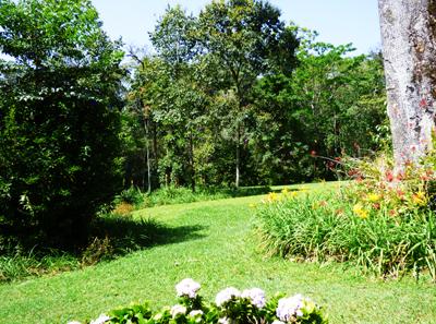 Rondo Retreat Gardens