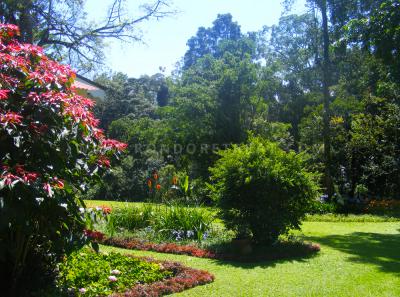 Beautifully Landscaped Rondo Lawn And Garden