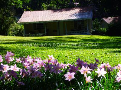 Garden And Lawn Infront Of Founders Cottage